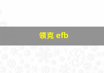 领克 efb